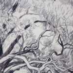 989 5493 DRAWING